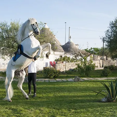 Guest house Il Gabellota 3*